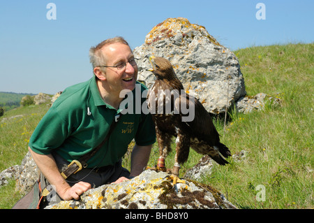 Falkner mit jungem Steinadler (Aquila chrysaetos) Falconer avec de jeunes Golden Eagle • Bade-wurtemberg ; Deutschland ; Allemagne Banque D'Images