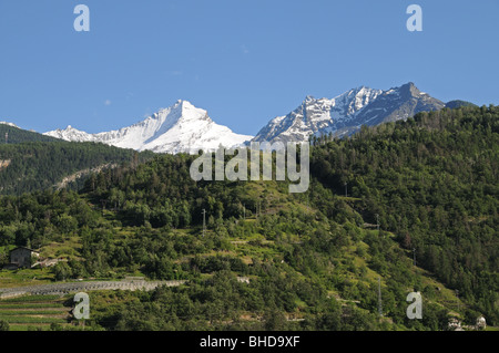 Valle d'Aosta scène avec des pins et de l'ons de la crête des Alpes enneigées dans la Grivola Gamme Gran Paradiso Italie Banque D'Images