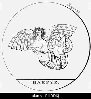 Harpies, créatures mythiques grecques (demi-femme, demi-oiseau), gravure, XIXe siècle, Banque D'Images