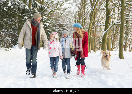 La marche de la famille chien au bois enneigé Banque D'Images