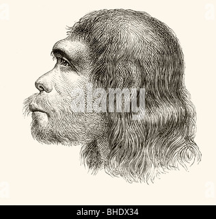Tête d'un homme de Neandertal. Illustration à partir d'une reconstruction du 19e siècle. Banque D'Images