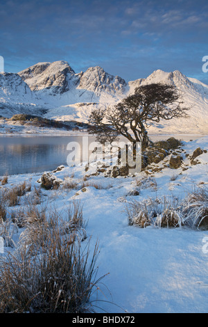 Arbre sur un rocher avec un couvert de neige Selkirk Arms (Blabheinn) en arrière-plan, l'île de Skye, Écosse Banque D'Images