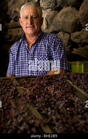 L'Italie, la Sicile, l'île de Pantelleria, les hommes qui préparent les raisins pour le vin 'passito di Pantelleria' Banque D'Images