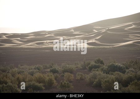 Une ligne de chameaux sur un voyage touristique au lever du soleil sur les dunes de sable de l'Erg Chebbi dans le désert du Sahara au Maroc Banque D'Images