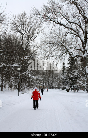 Des scènes de neige dans le parc Kadrioru, quartier de Kadriorg, Tallinn, Estonie. Banque D'Images