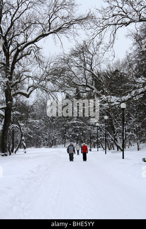 Des scènes de neige dans le parc Kadrioru, quartier de Kadriorg, Tallinn, Estonie. Banque D'Images