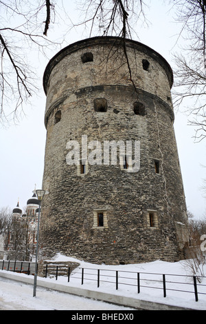 Kiek in de Kok cannon tower font partie des défenses médiévales dans le district de Toompea de la vieille ville de Tallinn, Estonie. Banque D'Images