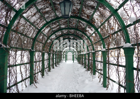 Des scènes de neige dans le parc Kadrioru, quartier de Kadriorg, Tallinn, Estonie. Banque D'Images