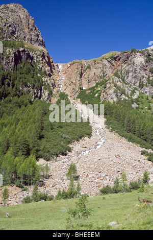 Paysage alpin avec un petit ruisseau et cascade dans le parc national de Stelvio Banque D'Images