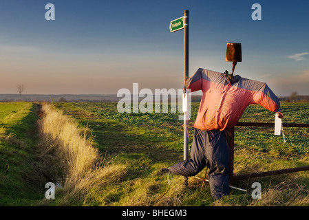 À côté de l'épouvantail signe pour sentier public, près de Thurning, sur la frontière de Cambridgeshire et le Northamptonshire, Angleterre Banque D'Images