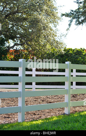 Clôture blanche sur horse farm Banque D'Images