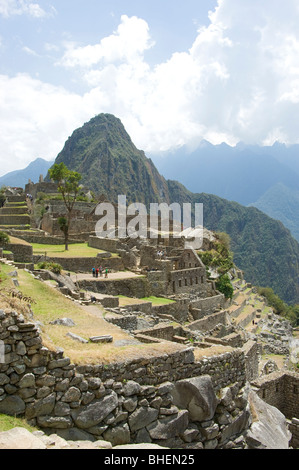 Vue sur les ruines de Machu Picchu au Pérou montrant Huayna Picchu et le site en terrasses Banque D'Images