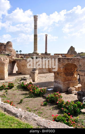 Thermes d'Antonin, Carthage, Tunis, Tunis, Tunisie Gouvernorat Banque D'Images