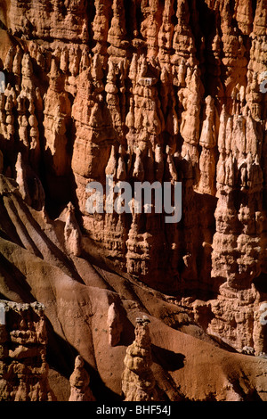 États-Unis, Utah, parc national de Bryce Canyon, amphithéâtre de Bryce Banque D'Images