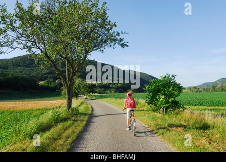 Cycliste féminine à cheval le long de la route, piste cyclable du Danube Passau à Vienne, Wachau, Basse Autriche, Autriche Banque D'Images