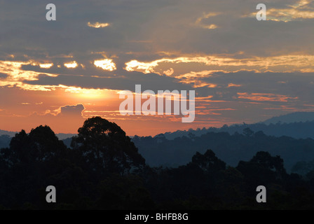 Le lever du soleil sur le paysage du parc national Khao Yai, Khorat, Thailande, Asie Banque D'Images