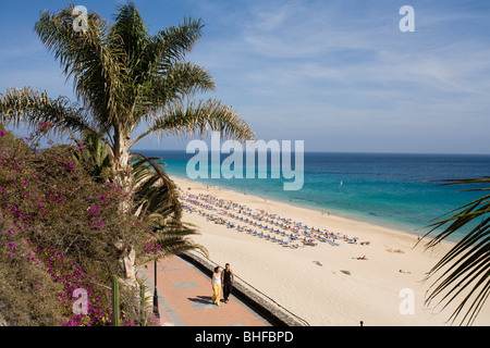 Promenade en bord de mer avec des palmiers dans la lumière du soleil, Playa Del Matorral, Playa de Jandia, Jandia Morro Jable, péninsule, Fuerteven Banque D'Images