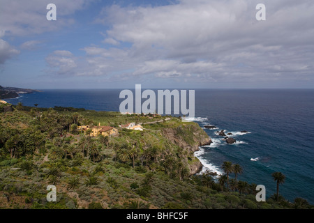 Hacienda de Castro, maison au milieu de palmiers sur la plage, Tenerife, Canaries, Espagne, Europe Banque D'Images