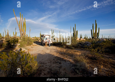 Une famille debout devant un autobus scolaire au milieu de cactus dans le désert, Catavina, Baja California Sur, au Mexique, l'Amérique Banque D'Images