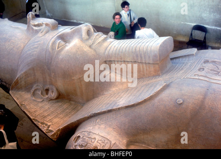 Tête de statue colossale de Ramsès II, l'Égypte, Memphis, c 13e siècle avant J.-C.. Artiste : Inconnu Banque D'Images