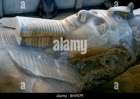 Tête de statue colossale de Ramsès II, l'Égypte, Memphis, c 13e siècle avant J.-C.. Artiste : Inconnu Banque D'Images