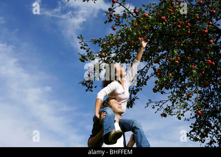 Femme sur les épaules de l'homme, pour atteindre une pomme, Styrie, Autriche Banque D'Images