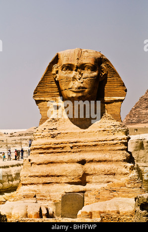 Le célèbre Sphinx près les grandes pyramides de Gizeh. Banque D'Images