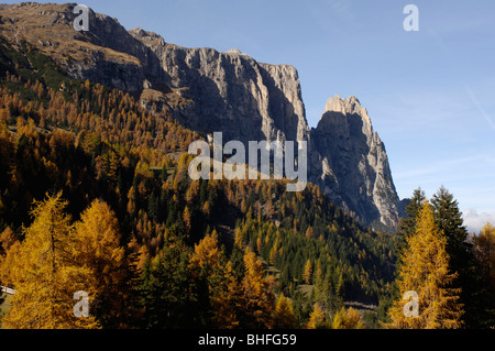 Avec la Montagne de la forêt d'automne au soleil, Sciliar, Tyrol du Sud, Italie, Europe Banque D'Images