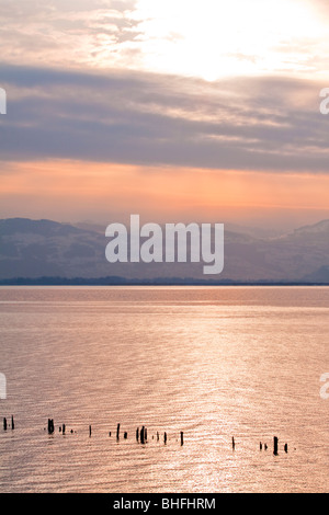 Coucher de soleil sur le lac de Constance (Bodensee), Allemagne Banque D'Images