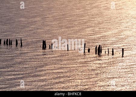 Coucher de soleil sur le lac de Constance (Bodensee), Allemagne Banque D'Images