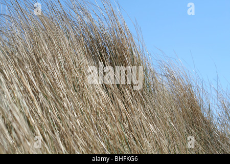 Un paysage photo de la plage à Brean et Burnham-on-Sea, sur le coût de Somerset. Banque D'Images