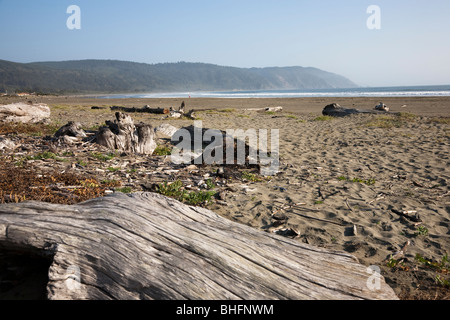 Plage de sable, près de l'orogenèse en Californie, Etats-Unis Banque D'Images