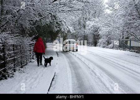 Une dame dans un manteau rouge et son chiot noir wellies promenades le long d'une route bordée d'arbre couvert de neige Banque D'Images