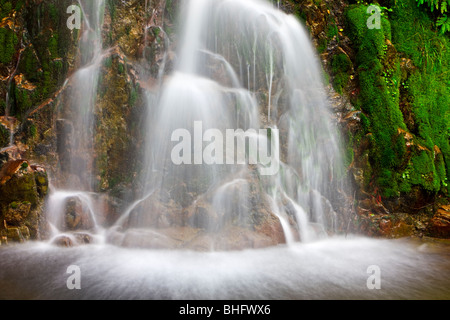 Cascade dans la forêt tropicale près de Port Alice, Nord de l'île de Vancouver, l'île de Vancouver, Colombie-Britannique, Canada. Banque D'Images