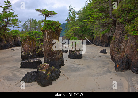 La baie San Josef à Cape Scott Provincial Park, côte ouest, nord de l'île de Vancouver, l'île de Vancouver, Colombie-Britannique, Canada. Banque D'Images