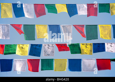 Les drapeaux de prières bouddhistes Banque D'Images