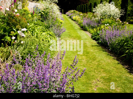 Un chemin herbeux entre frontières vivace herbacée d'été dans un jardin de campagne en Angleterre, Royaume-Uni Banque D'Images