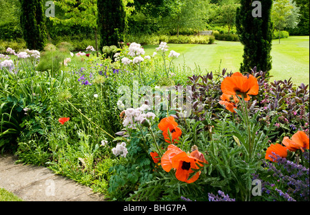 Vue à travers la frontière vivace herbacée sur une grande pelouse dans un jardin de campagne anglaise en été. Banque D'Images