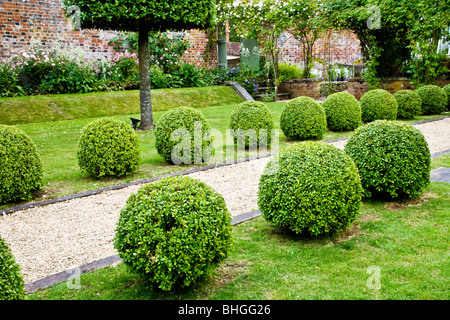 Topiary sur une allée de graviers dans le jardin clos d'un manoir de campagne Anglais Banque D'Images