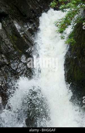 Torrent en cascade d'eau au-dessus du Pont du Diable Cascade, nr Aberystwyth, Pays de Galles Banque D'Images