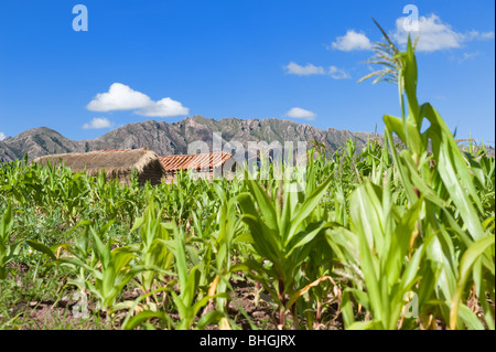 Village de Maragua, dans la campagne de la Bolivie. Banque D'Images