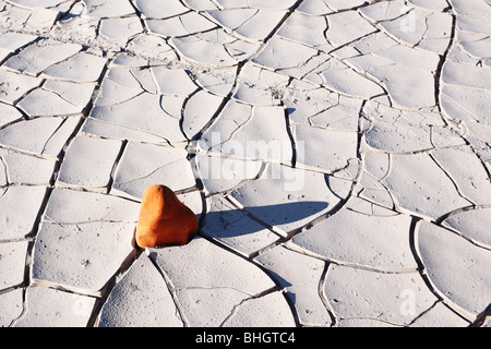 Petit pierre de grès sur le sol fissuré de désert dans la vallée de la mort aux ETATS UNIS Banque D'Images