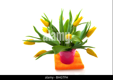 Bouquet de tulipes jaunes dans pink bucket isolated over white Banque D'Images