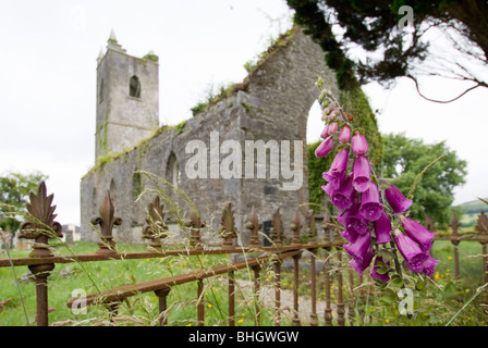 L'abandon de l'ancienne église paroissiale de Killowen, Kenmare, comté de Kerry, Irlande Banque D'Images