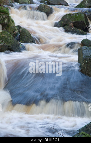 Burbage Brook circulant dans les gorges de Padley dans le Peak District, Derbyshire, Royaume-Uni Banque D'Images