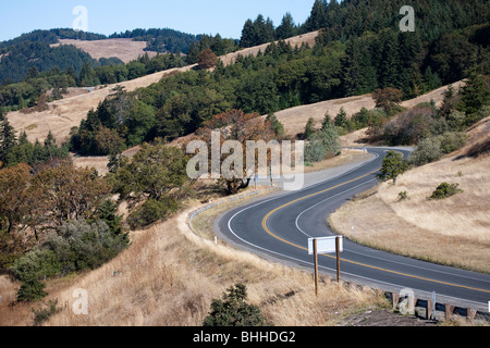 Forêt nationale de Trinité le long de la route 299 d'Eureka à Redding en Californie, USA Banque D'Images