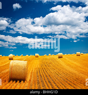 Paysage agricole de bottes de foin dans un champ d'or Banque D'Images