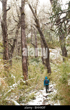 Chili's Huerquehue Parc National près de Pucon Banque D'Images