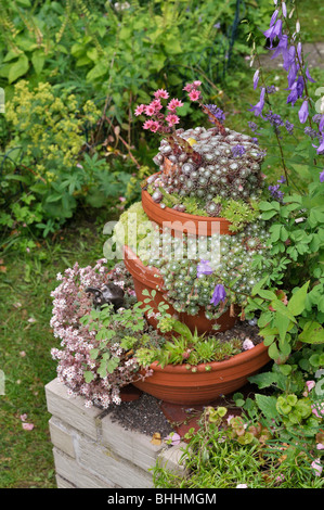 Pyramide de conteneurs avec succulentes. design : susanna komischke Banque D'Images