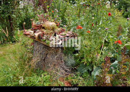 Jardin conteneur avec succulentes. design : susanna komischke Banque D'Images